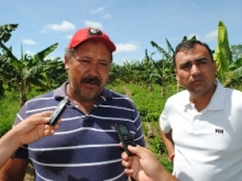 Hermes Cárdena, productor del sector agrícola Calzeta de Medio.