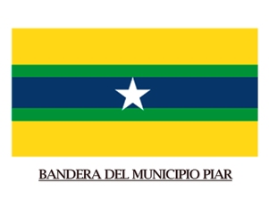 BANDERA DEL MUNICIPIO PIAR