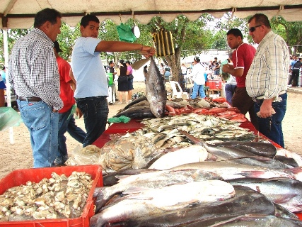 El pescado fresco está a precios accesibles y la sardina a 5 bolívares fuertes 