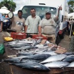 El pescado se vendió a precios accesibles