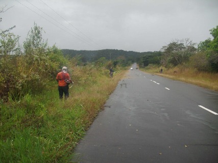 Alcaldía de Piar realiza mantenimiento carretera Manganeso hasta El Palmar.