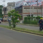 Trabajadores efectúan desmalezamiento en la avenida Raúl Leoni.  